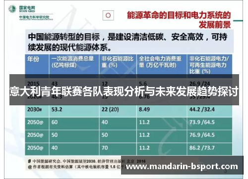 意大利青年联赛各队表现分析与未来发展趋势探讨 意大利青年联赛各队表现分析与未来发展趋势探讨