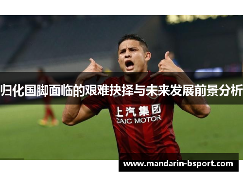归化国脚面临的艰难抉择与未来发展前景分析 归化国脚面临的艰难抉择与未来发展前景分析