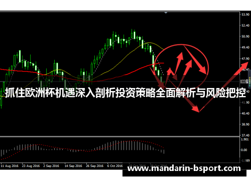 抓住欧洲杯机遇深入剖析投资策略全面解析与风险把控 抓住欧洲杯机遇深入剖析投资策略全面解析与风险把控