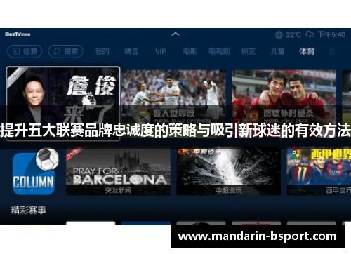 提升五大联赛品牌忠诚度的策略与吸引新球迷的有效方法 提升五大联赛品牌忠诚度的策略与吸引新球迷的有效方法