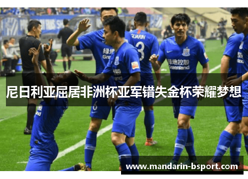 尼日利亚屈居非洲杯亚军错失金杯荣耀梦想 尼日利亚屈居非洲杯亚军错失金杯荣耀梦想