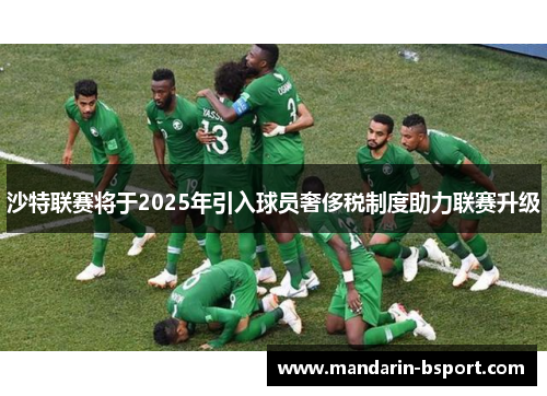 沙特联赛将于2025年引入球员奢侈税制度助力联赛升级 沙特联赛将于2025年引入球员奢侈税制度助力联赛升级